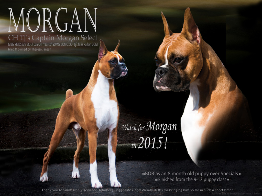 Morgan BD idea 2 web copy